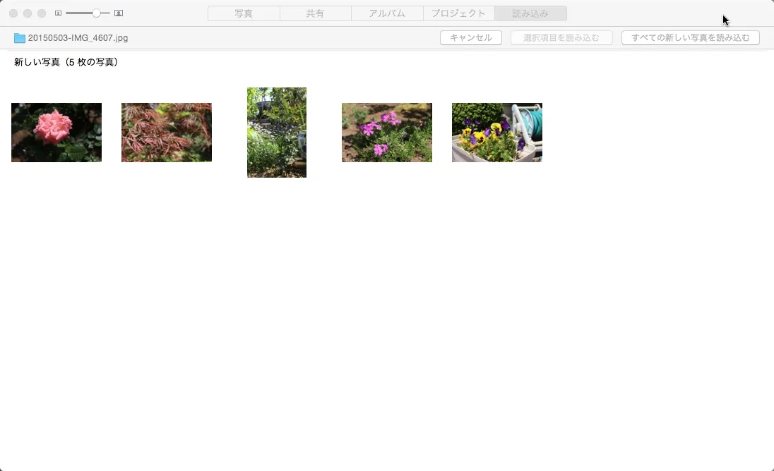 写真の自動読み込み 写真の自動読み込み