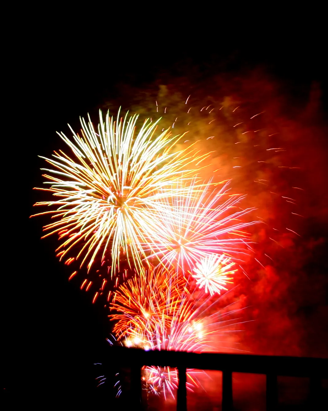 the SUMIDA River Fireworks Festival (20) the SUMIDA River Fireworks Festival (20)