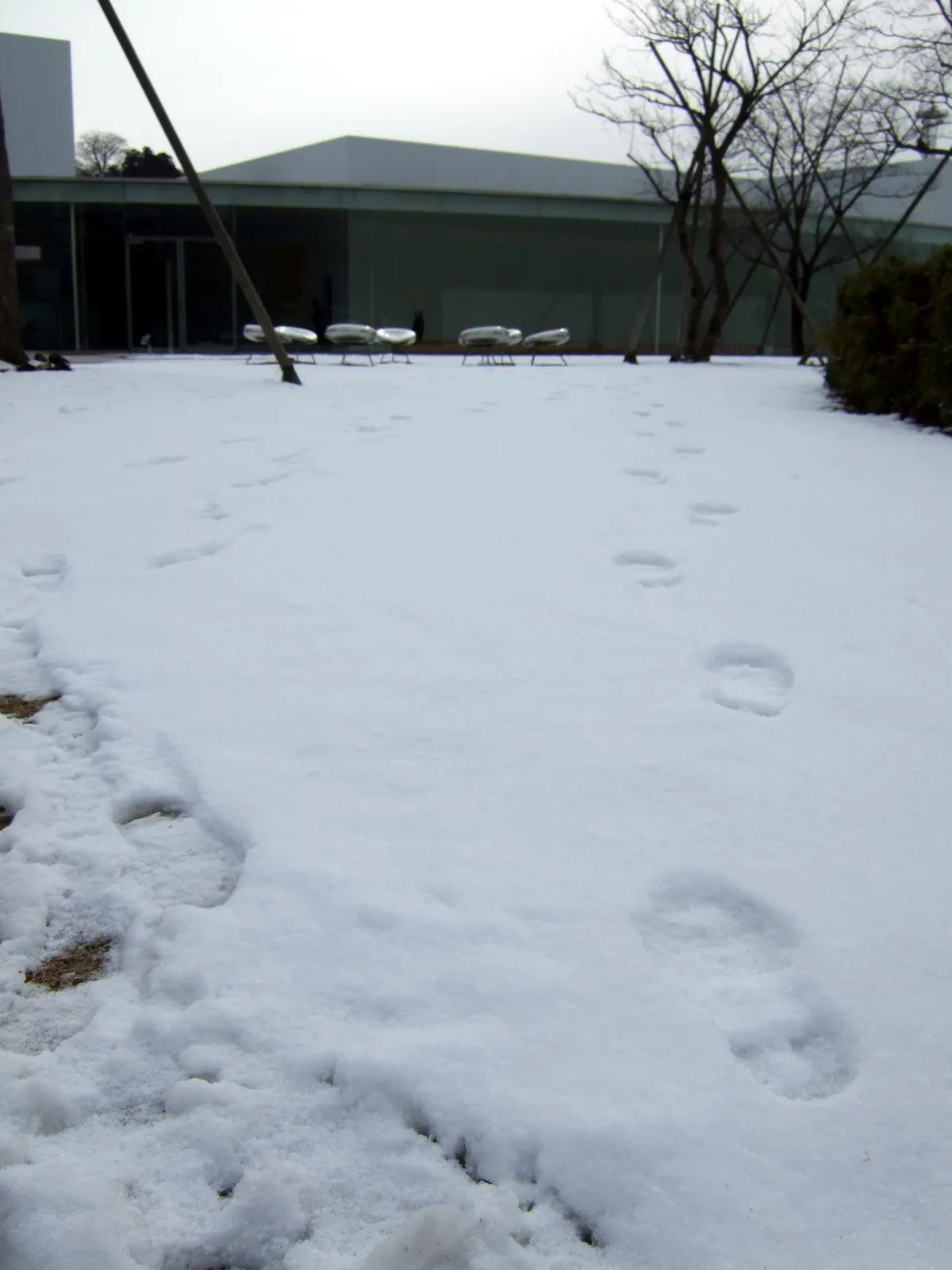 Kanazawa 21st Century Museum