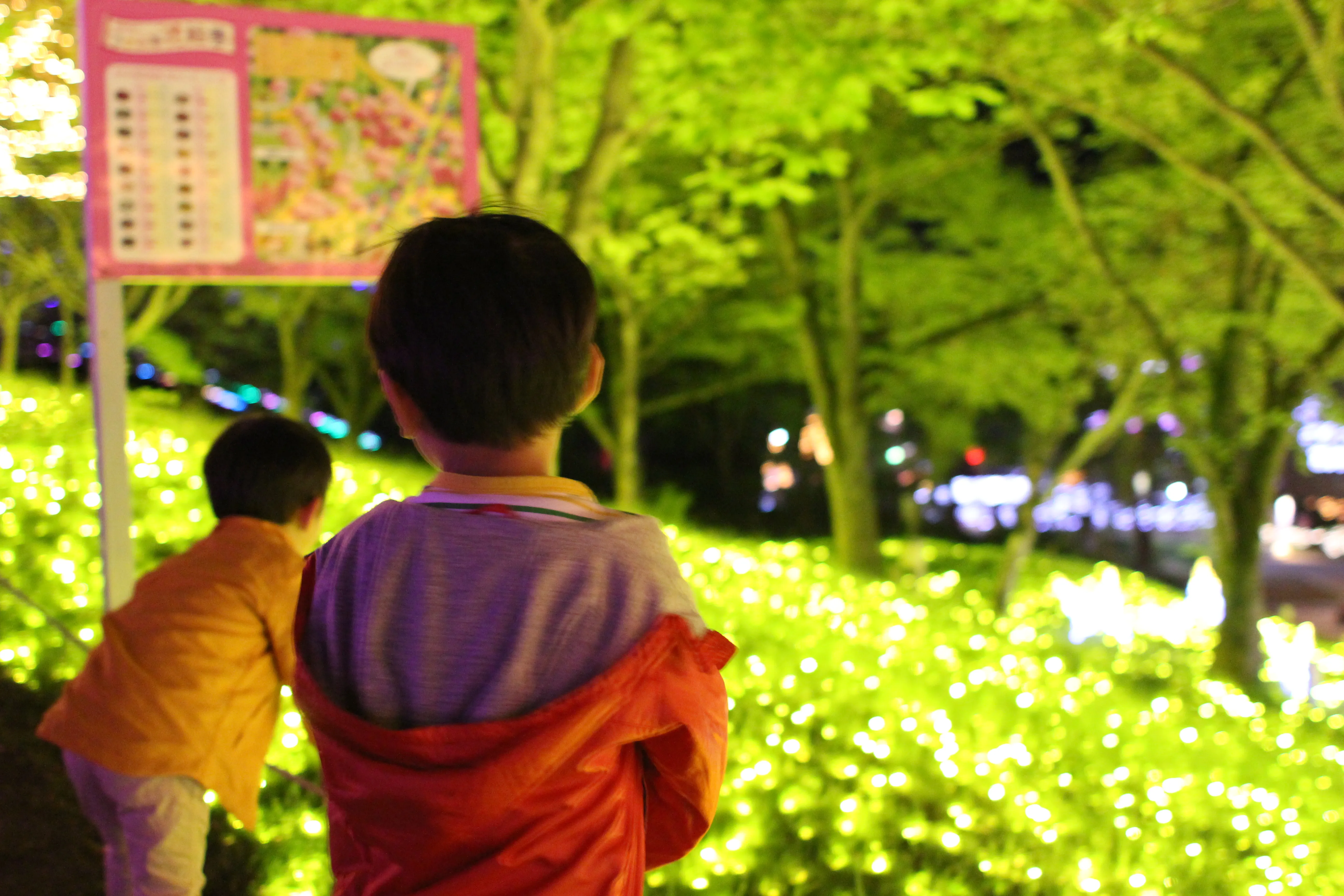 相模湖プレジャーフォレスト 相模湖プレジャーフォレスト