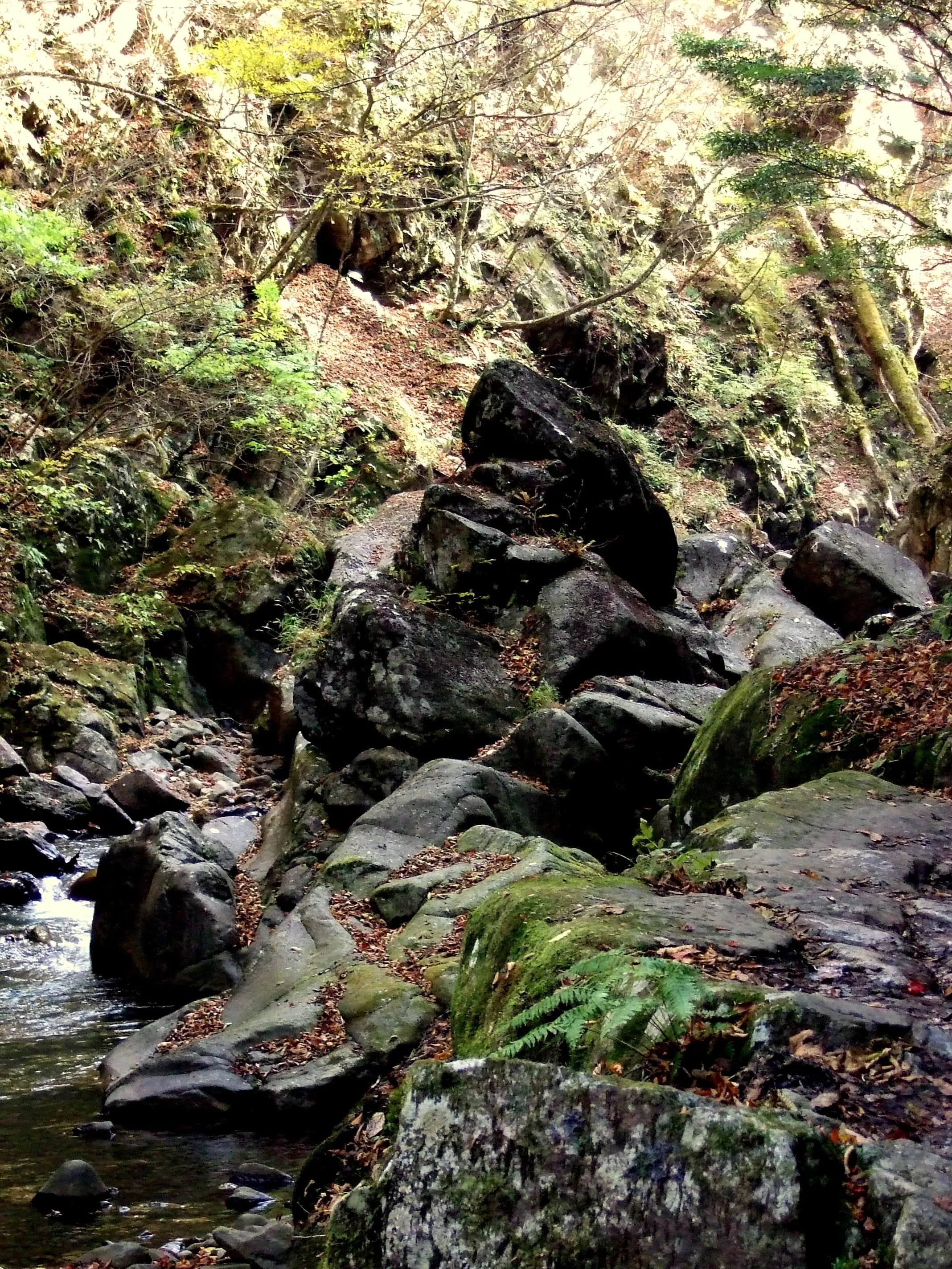 DSCF5275 DSCF5275