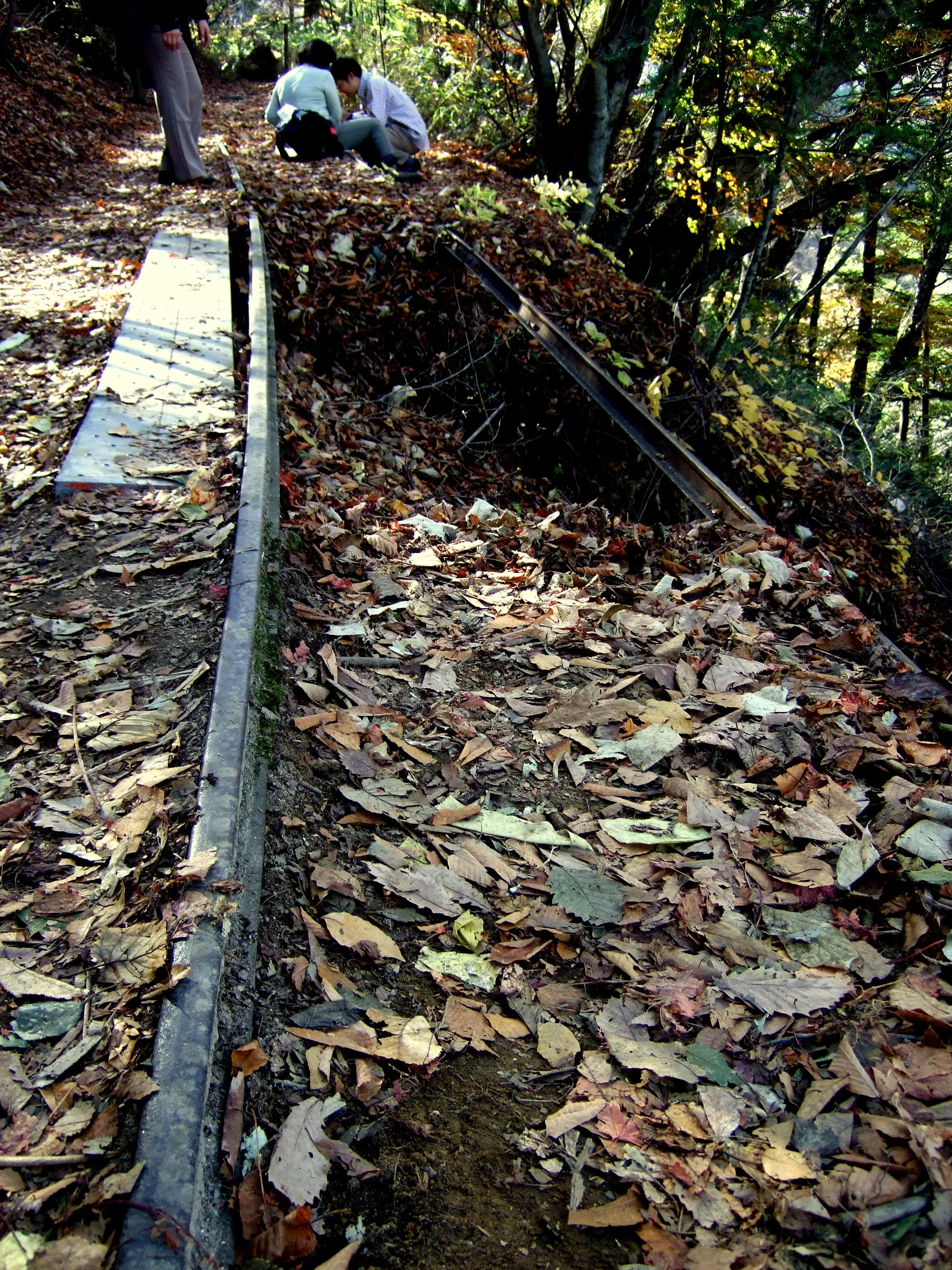 DSCF5312 DSCF5312