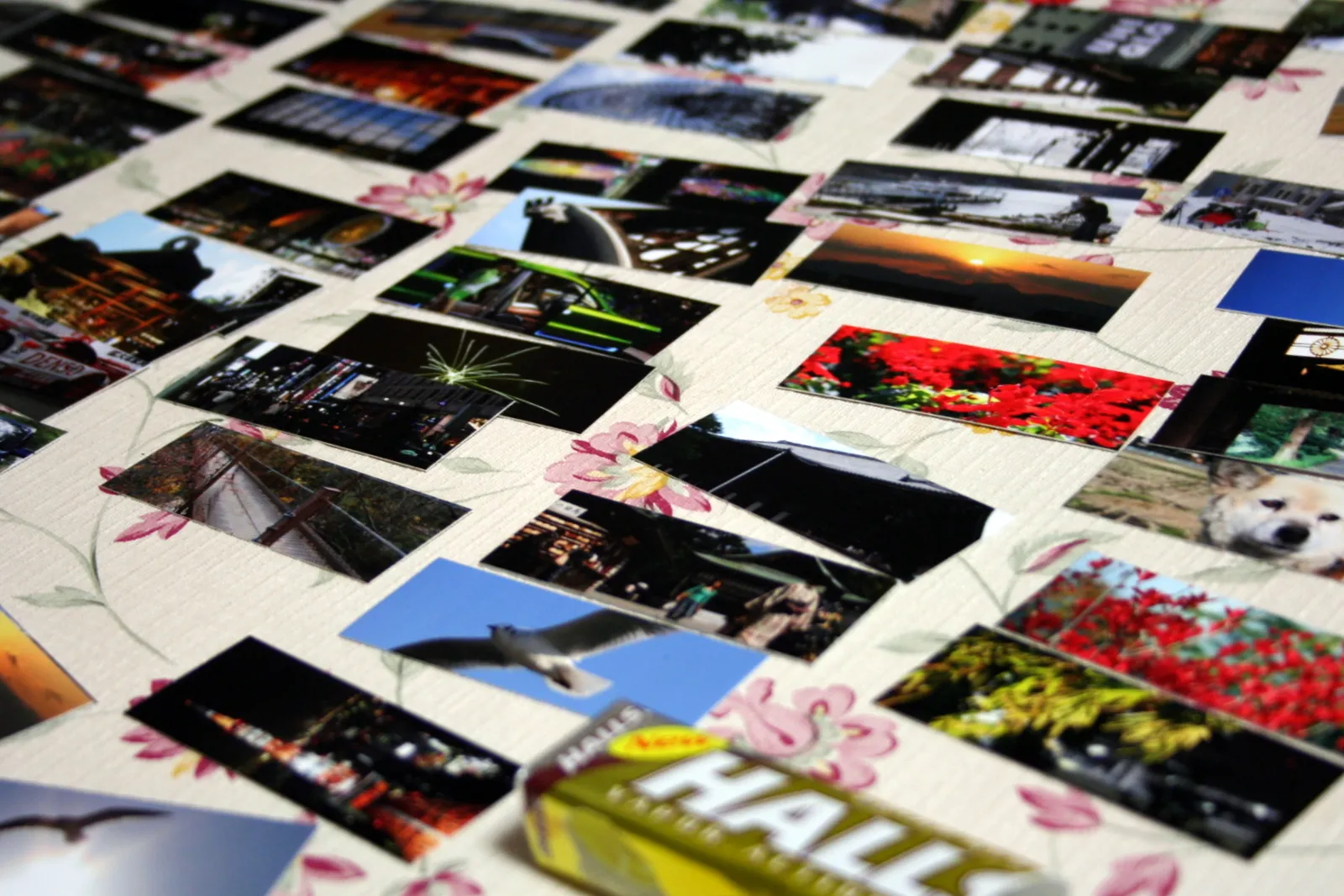 moo MiniCards