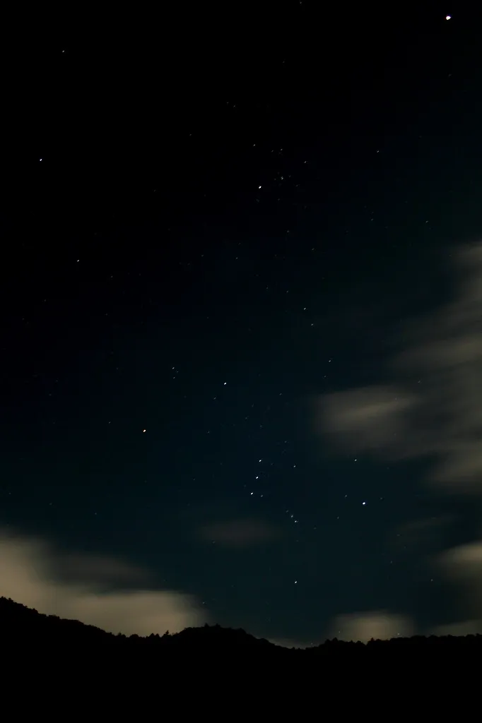 Orion Orion