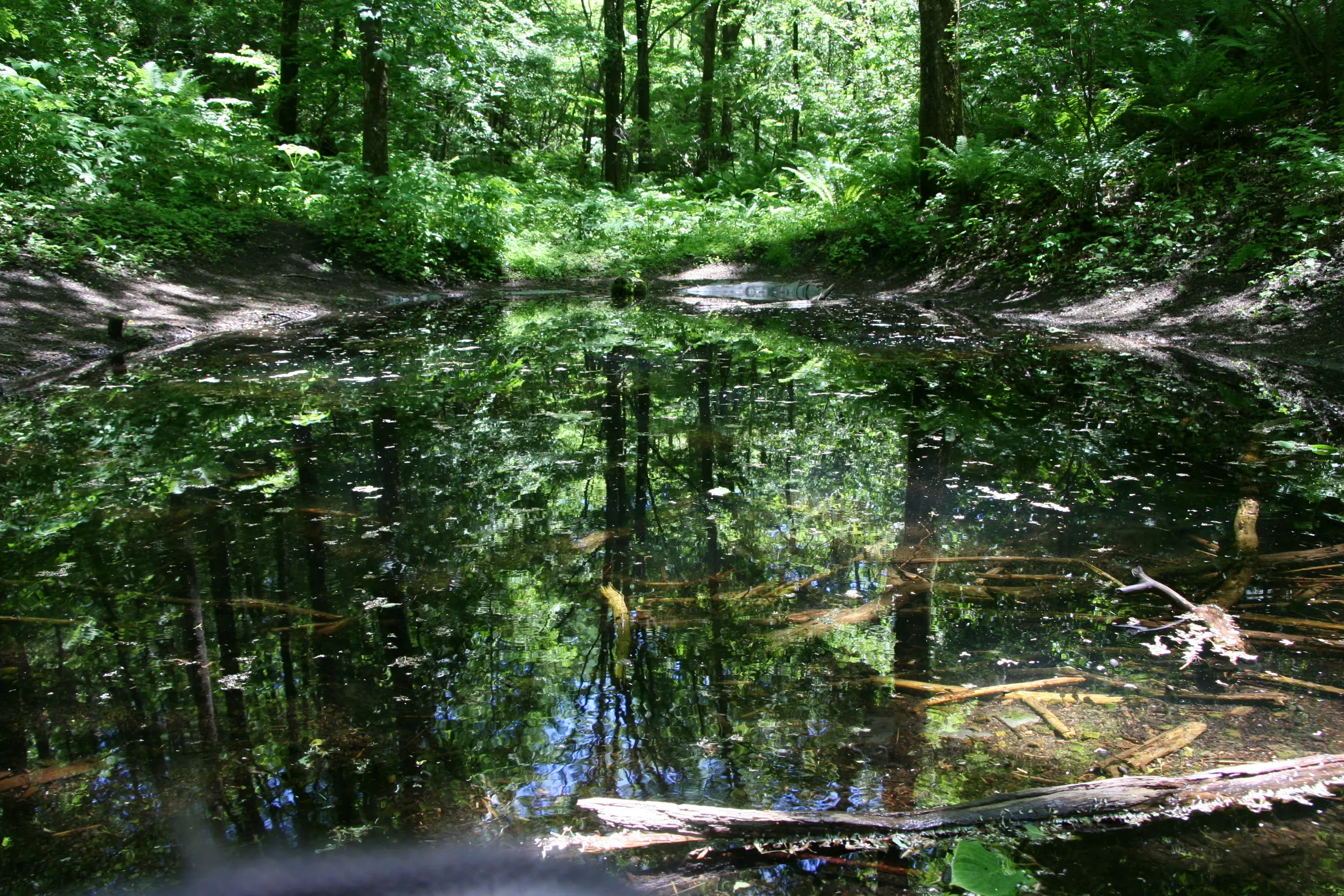 beautiful water