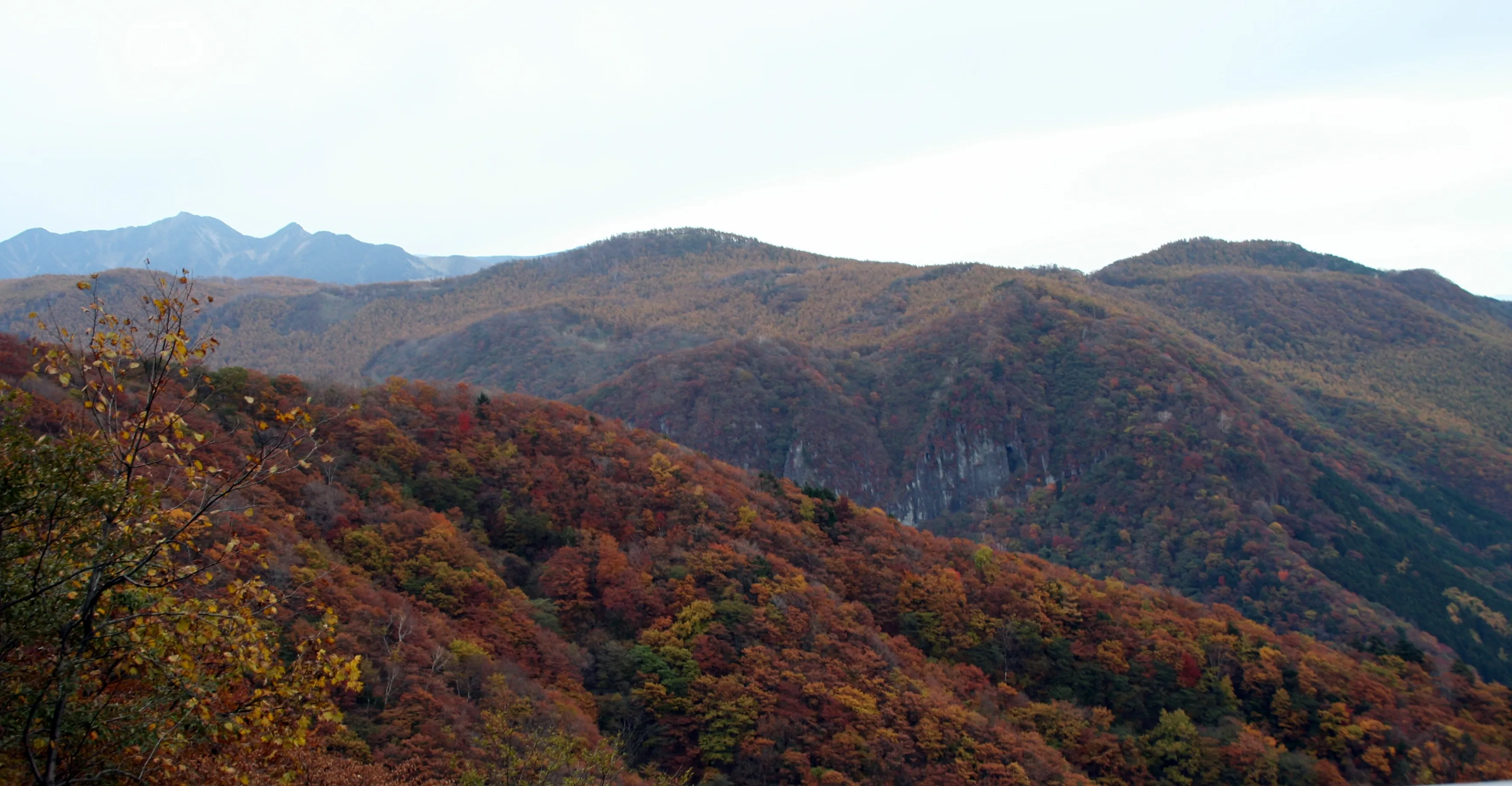 いろは坂の紅葉
