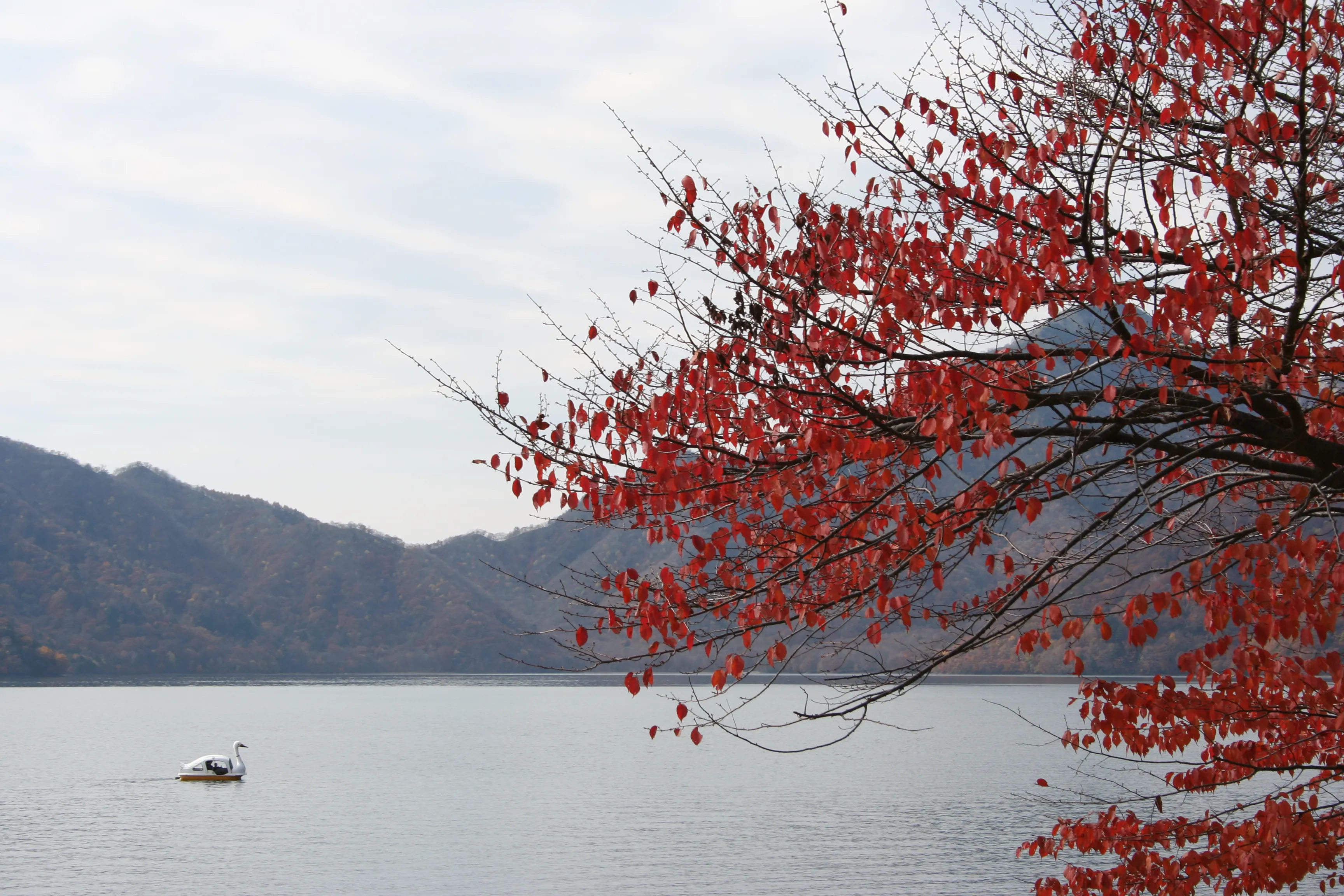 中禅寺湖 / Lake Chuzenji