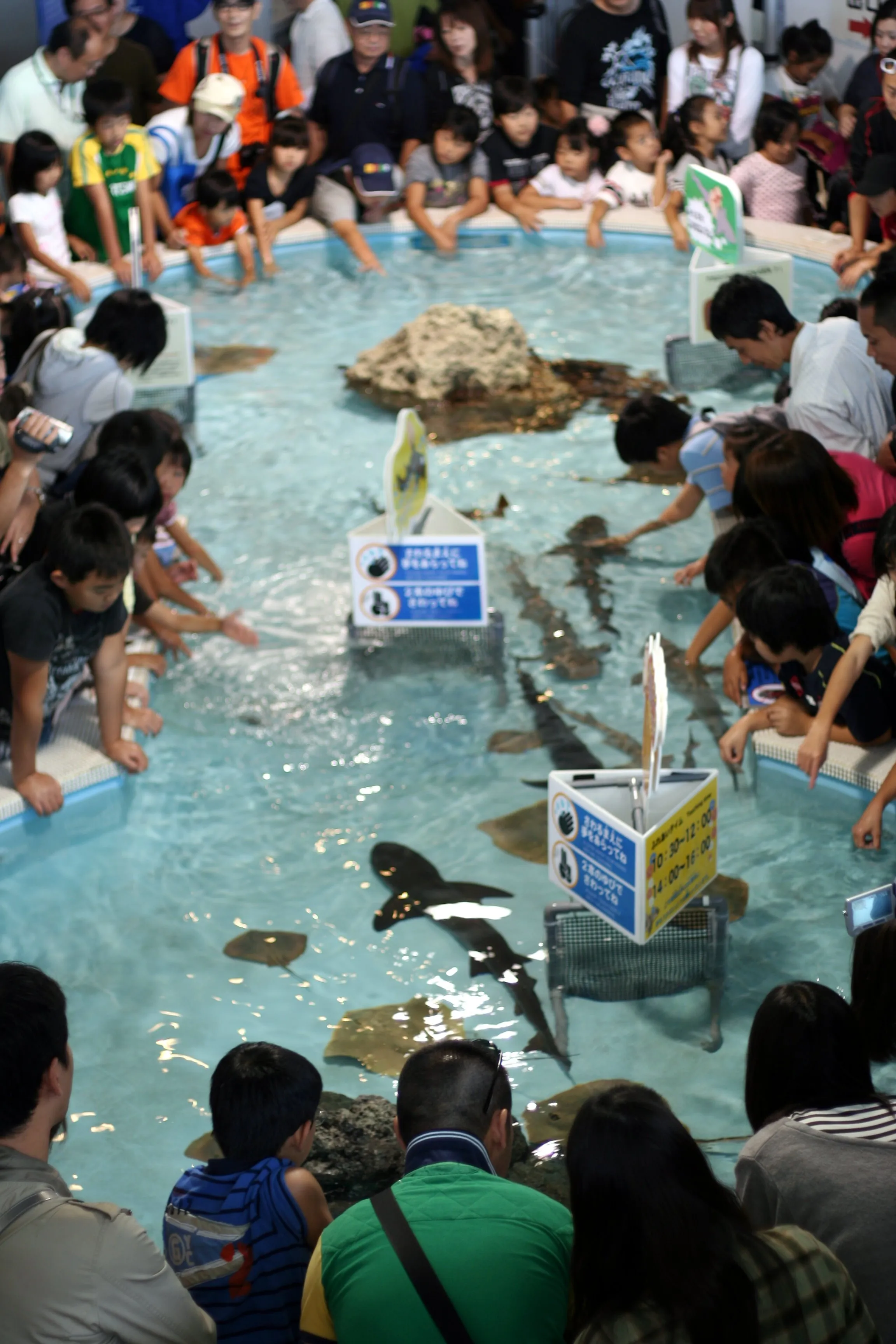 葛西臨海公園