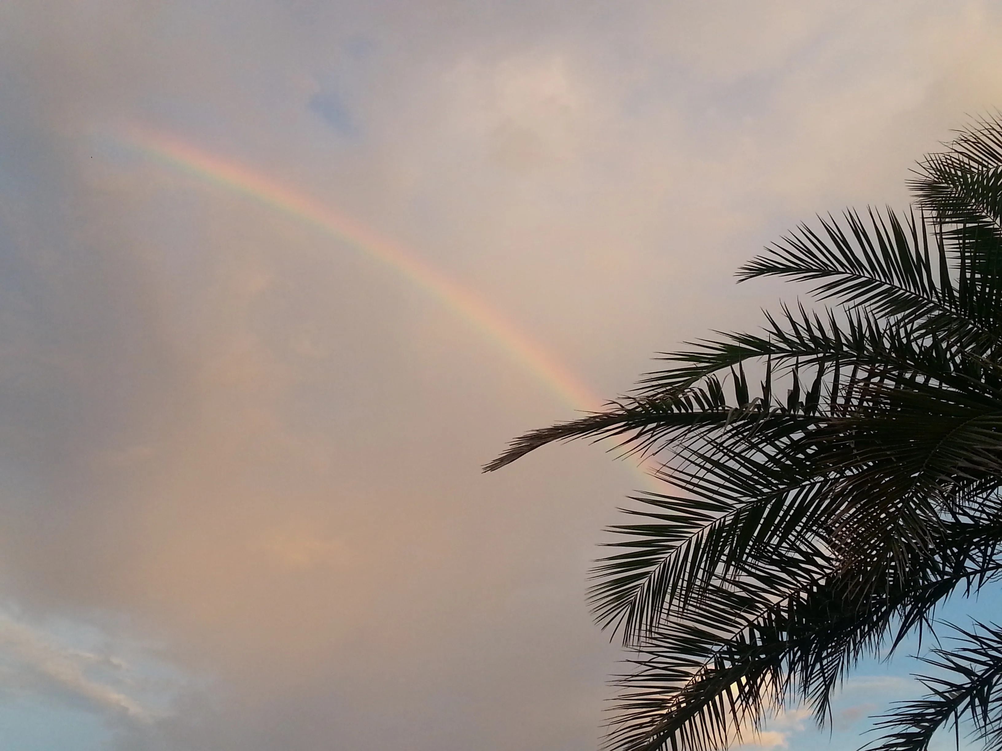 Rainbow at Tokyo Disney Land