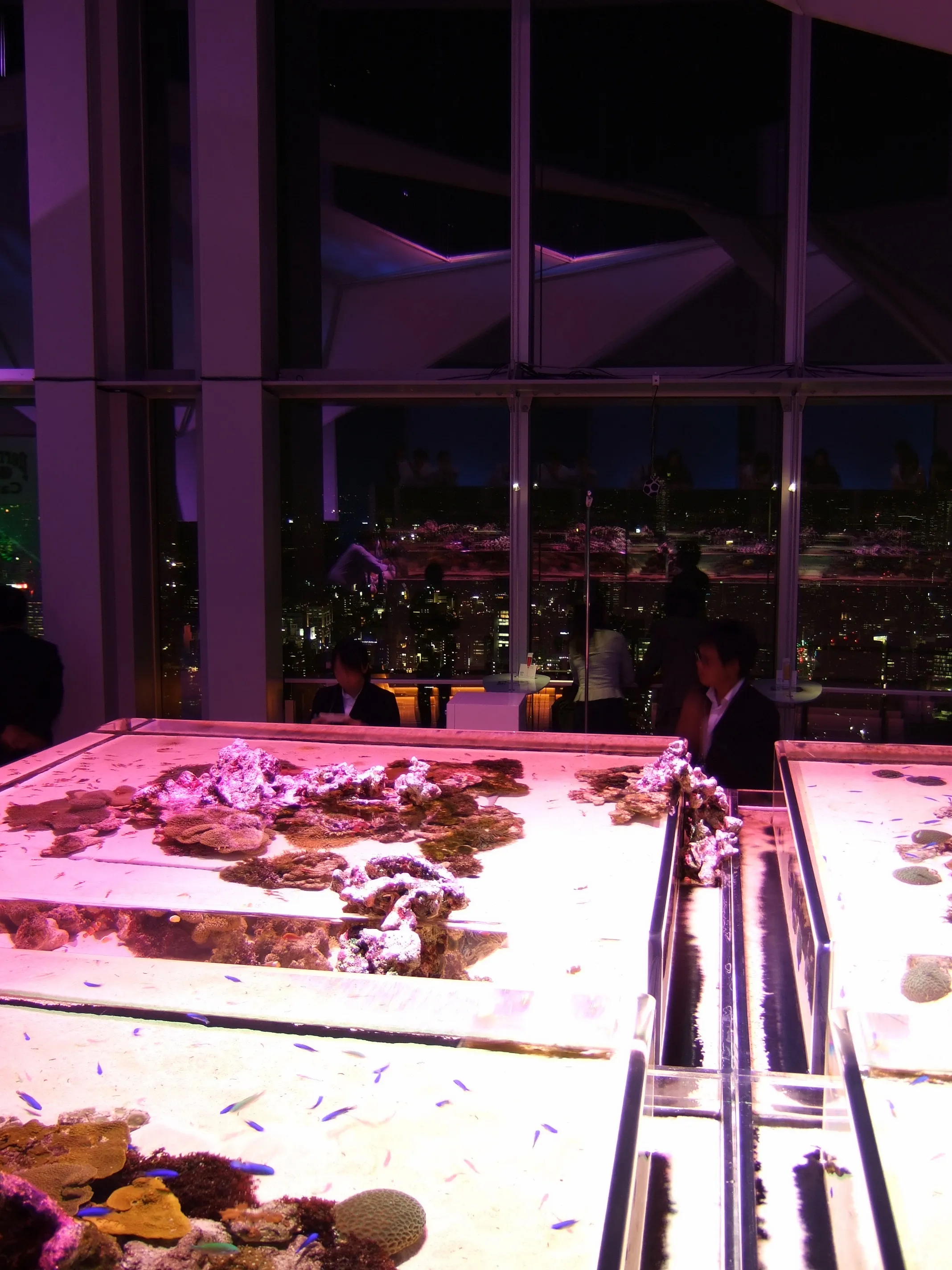 Sky Aquarium at Roppongi Hills Sky Aquarium at Roppongi Hills