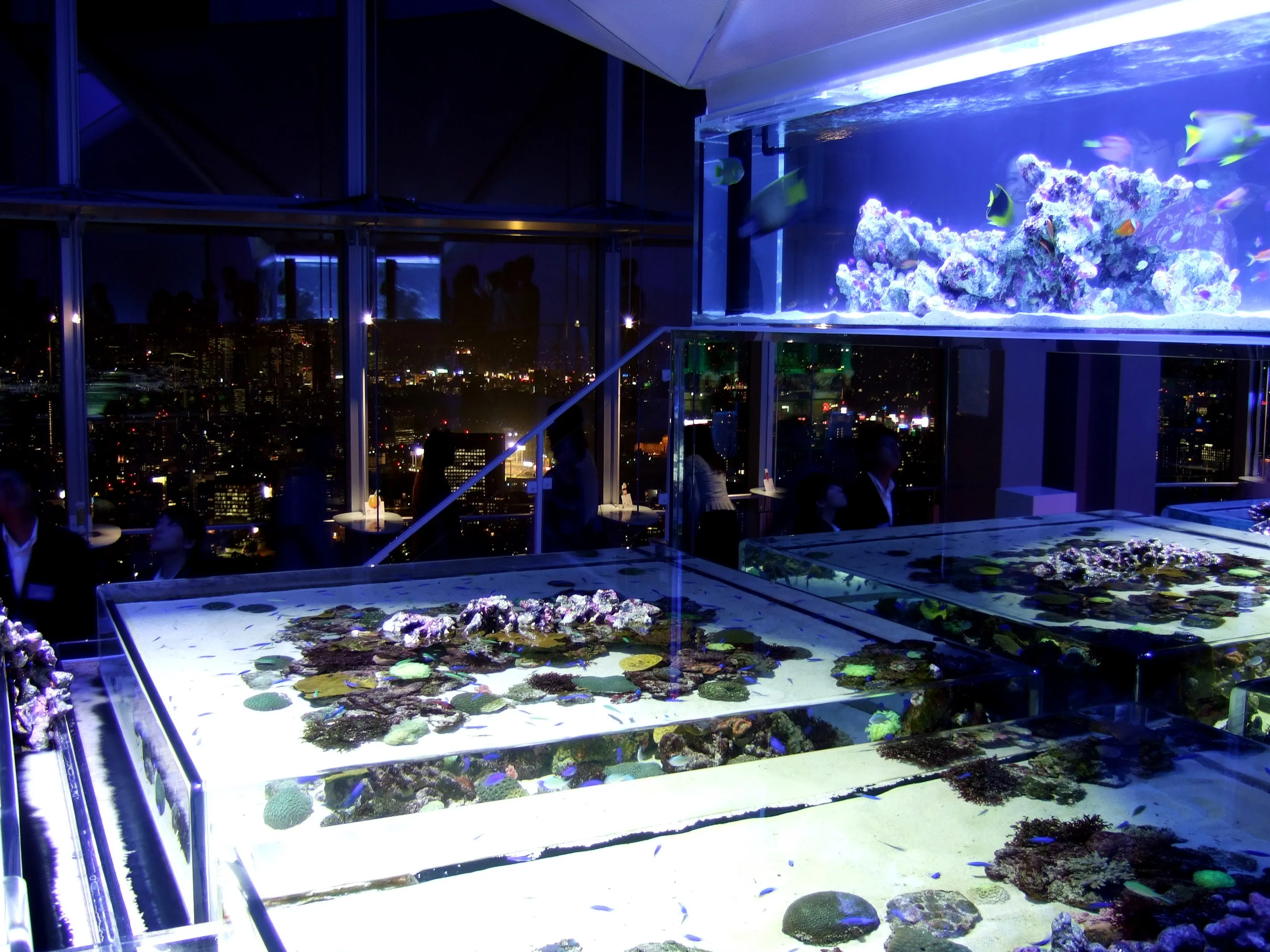 Sky Aquarium at Roppongi Hills